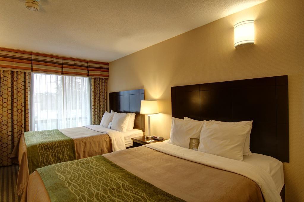 Comfort Inn Chatham-Kent Exteriér fotografie