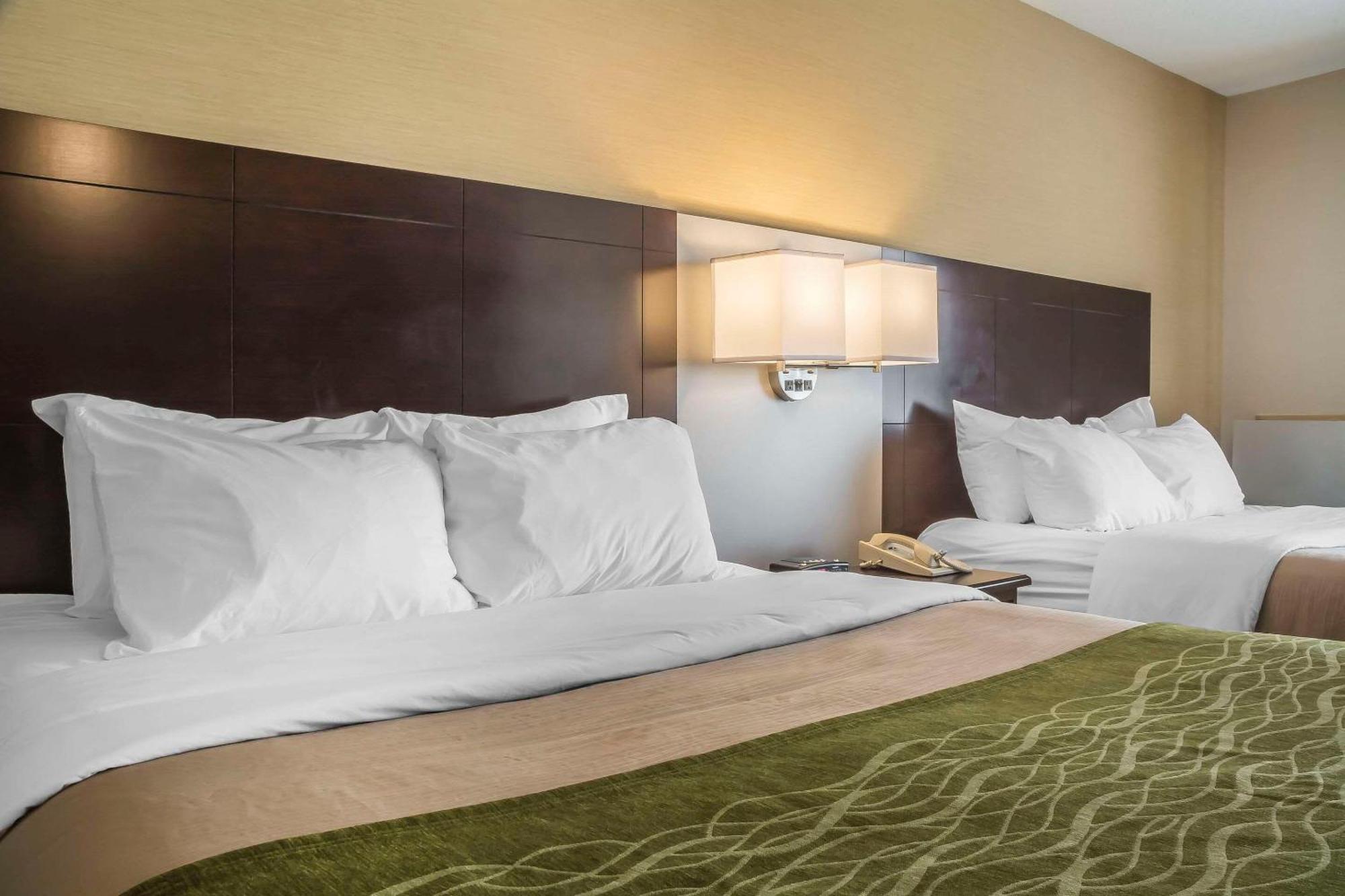 Comfort Inn Chatham-Kent Exteriér fotografie