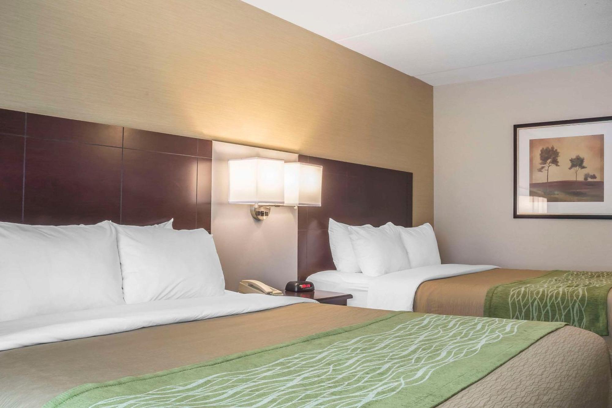 Comfort Inn Chatham-Kent Exteriér fotografie