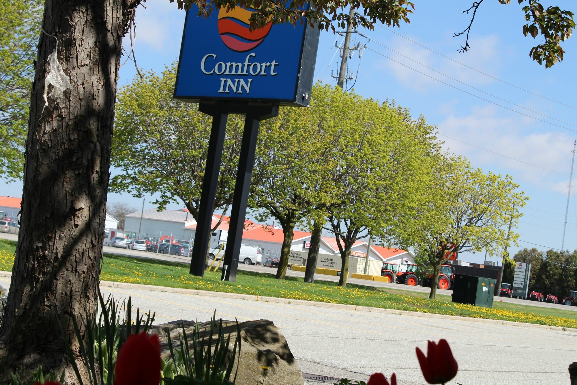 Comfort Inn Chatham-Kent Exteriér fotografie