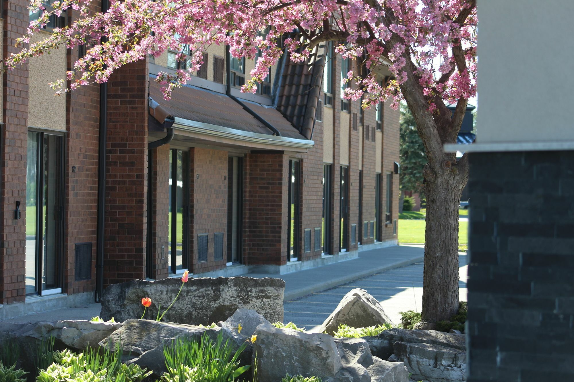 Comfort Inn Chatham-Kent Exteriér fotografie